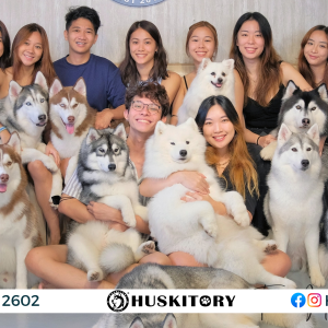 Huskitory